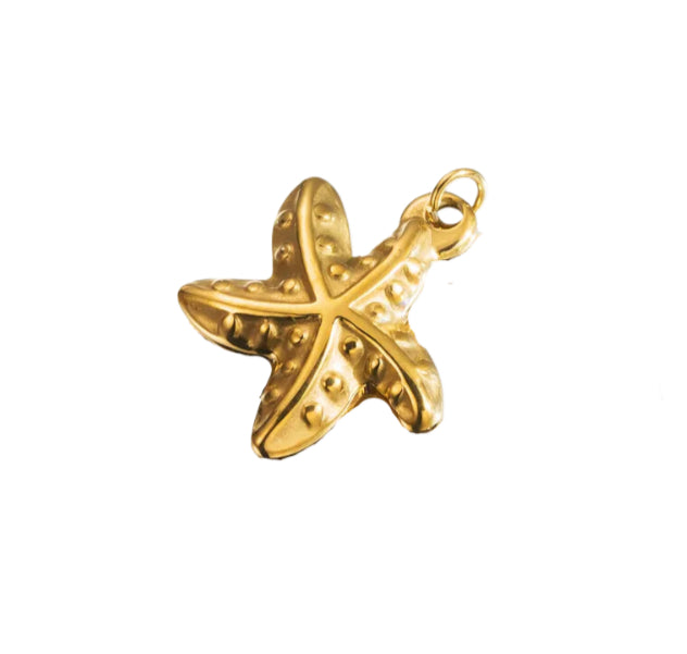 Starfish image 0