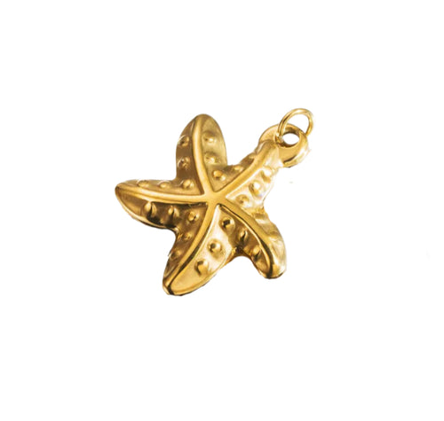 Starfish image 0