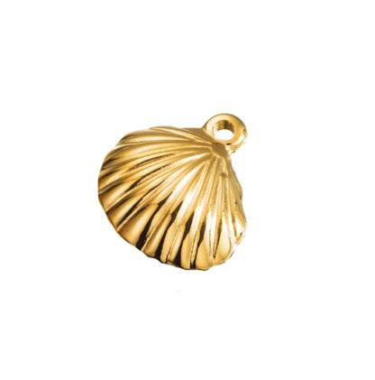 Shell image 0