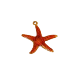 Green, Orange Starfish charm