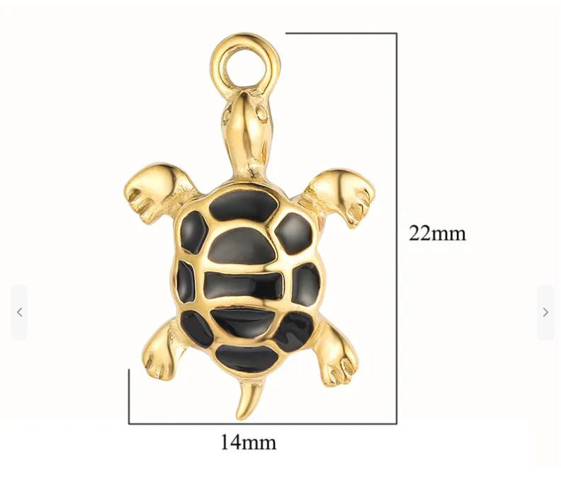 Turtle image 1