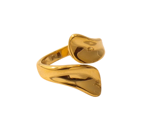 Fran Ring image 0