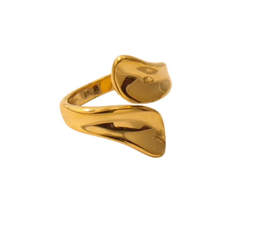 Fran Ring image 0