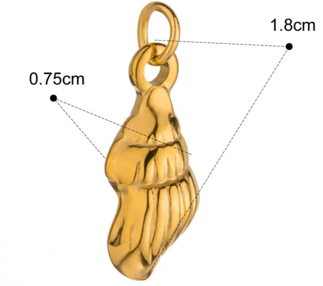 Shell image 0