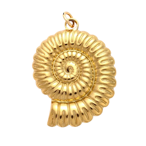 Large Gold shell image 0