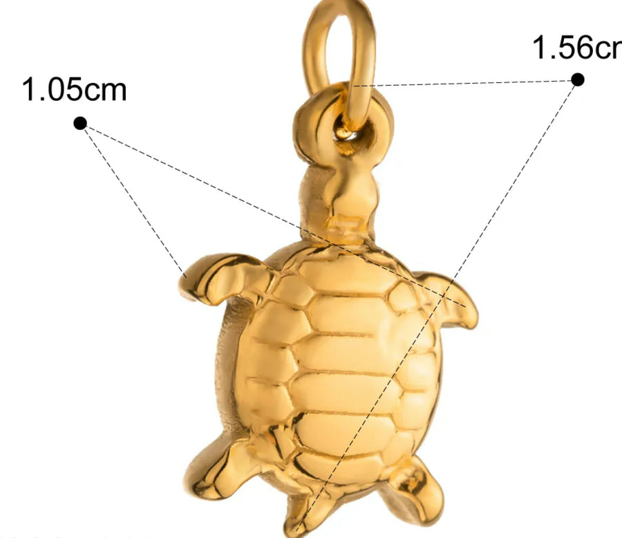 Baby Turtle